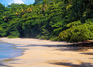 Escale Brésil (Porto Belo)